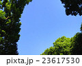 青空と木々 23617530
