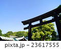 明治神宮の鳥居と青空 23617555