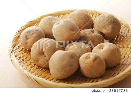 じゃがいも じゃがいも 23617788