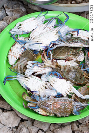 Blue Crab at Maeklong Railway Market, Thailand 23617855