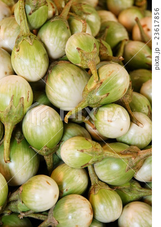 タイのナス(Eggplants of Thailand) タイのナス(Eggplants of Thailand) 23617856