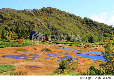 草紅葉の火打山・高谷池ヒュッテ 23618326