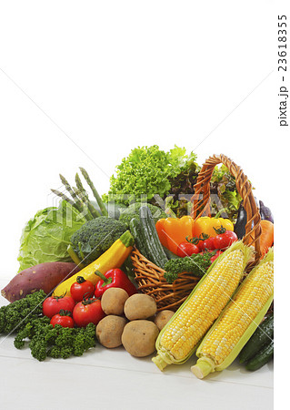 野菜の集合 野菜の集合 23618355