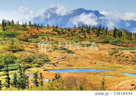 火打山・天狗の庭の湿原と高妻山 23618444
