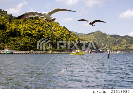 伊根湾 伊根湾 23618980