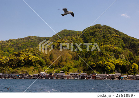 伊根湾 伊根湾 23618997