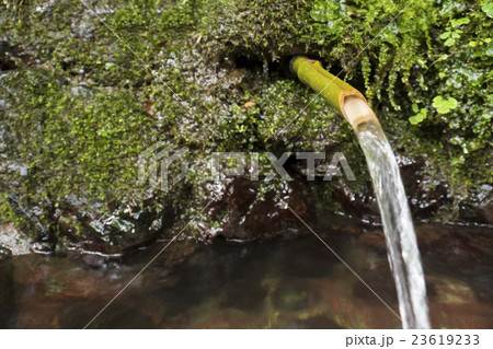 竹水栓 23619233