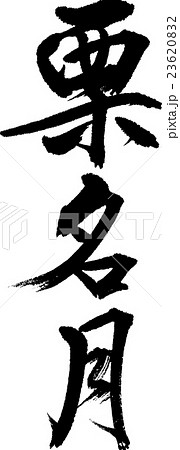 栗名月 23620832