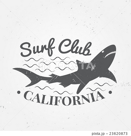Surfing concept for shirt or logo, print, stamp. Surfing concept for shirt or logo, print, stamp. 23620873