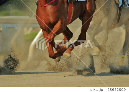 ダーｒトレース３ 23622009