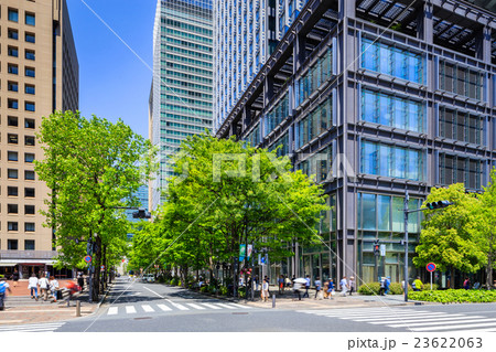 丸の内ビル街の風景（行幸通りと丸の内仲通りの交差点） 23622063