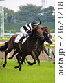 競馬 23623218
