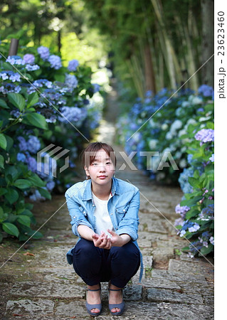 あじさいが咲いている石畳の参道でしゃがんでいる若い日本人女性の写真素材