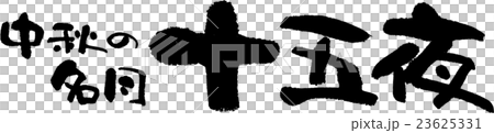 中秋滿月菊 23625331