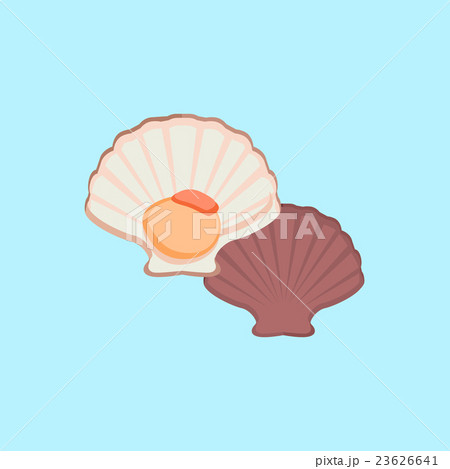 Oysters Vector Illustration Oysters Vector Illustration 23626641