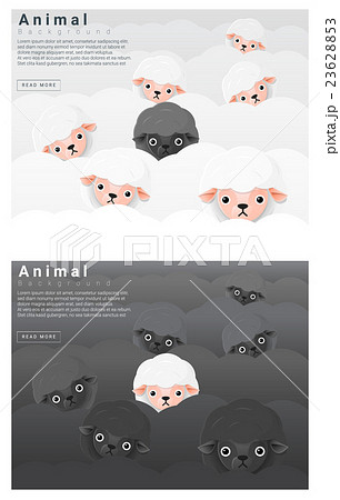 Black and white sheep background Black and white sheep background 23628853