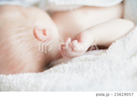 Sleeping newborn baby covered with white blanket. 23629057