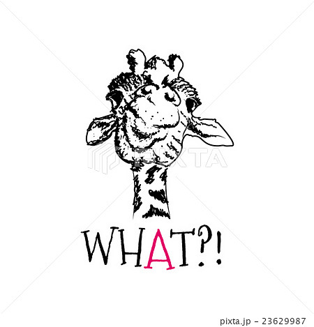 head of a giraffe hipster 23629987