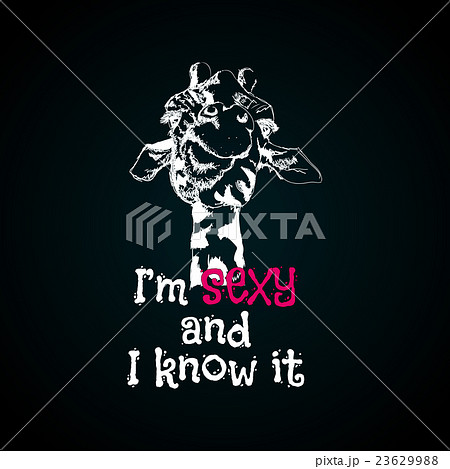 head of a giraffe hipster 23629988