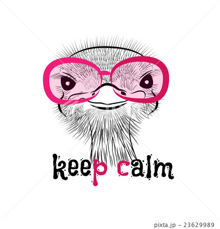 head of a hipster ostrich 23629989