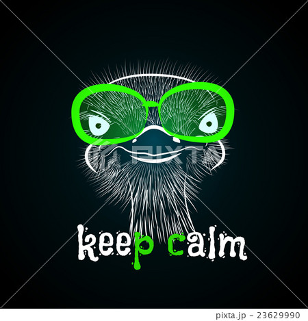 head of a hipster ostrich 23629990