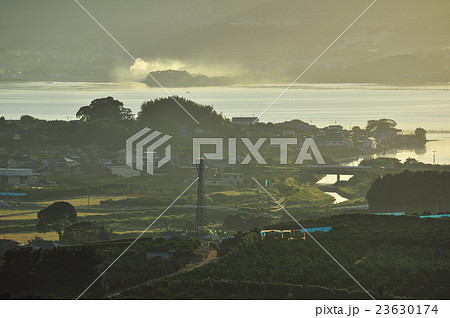 奥浜名湖　朝靄のみかん畑 23630174