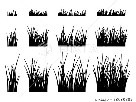 美しい花の画像 ベスト50 雑草 イラスト 白黒