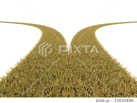 枯れた草の道の分岐点 23630886
