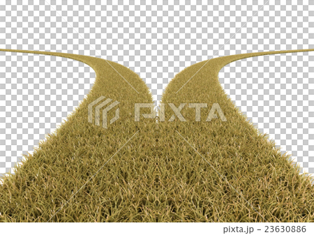 枯れた草の道の分岐点 23630886