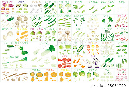 カット野菜いろいろ2枠名称のイラスト素材