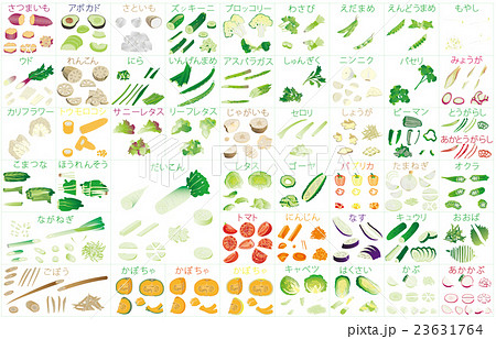 カット野菜いろいろ3枠名称のイラスト素材