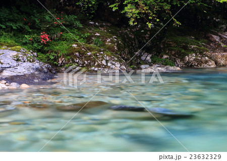 岩つつじのある風景 岩つつじのある風景 23632329