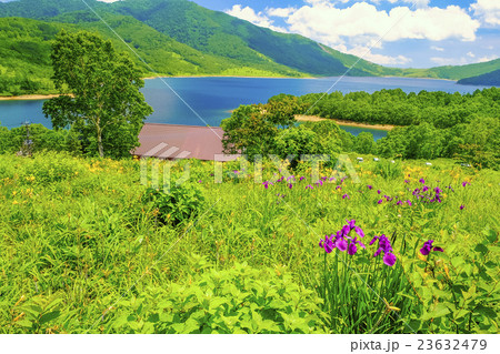 夏の野反湖キャンプ場 23632479