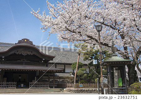 川越城本丸御殿と桜 川越城本丸御殿と桜 23632751