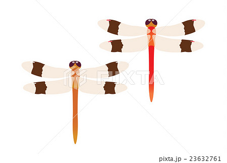 赤トンボのイラスト素材