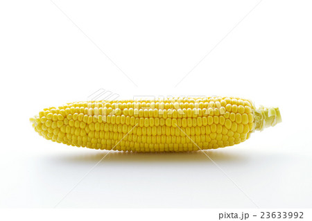 トウモロコシ16 23633992