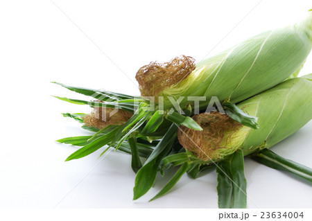 トウモロコシ5 トウモロコシ5 23634004