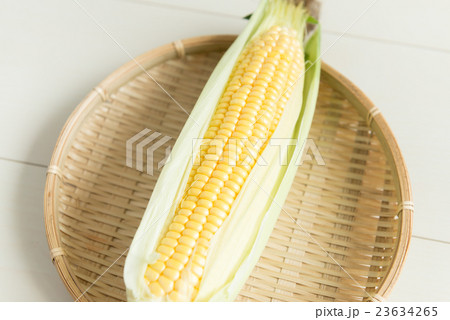 とうもろこし とうもろこし 23634265