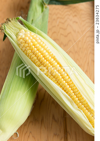 とうもろこし とうもろこし 23634275
