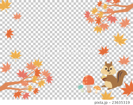 Maple illustrations Maple illustrations 23635319