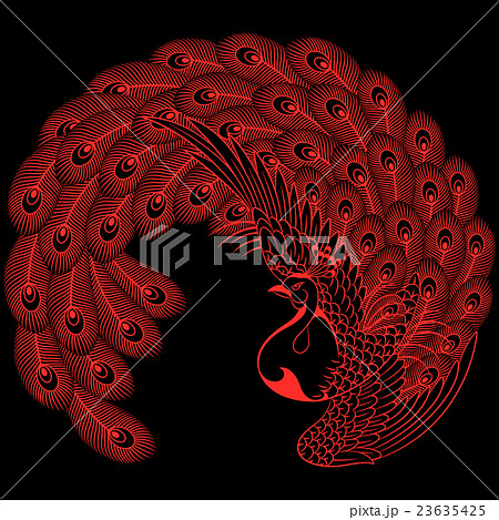 和調 孔雀 和調 孔雀 23635425