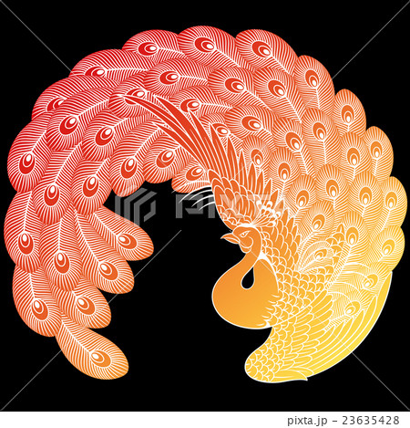 和調 孔雀 和調 孔雀 23635428