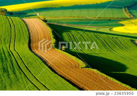 Wavy meadows spring landscape in South Moravia 23635950