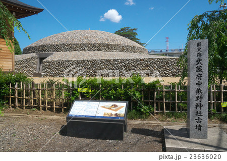 武蔵府中熊野神社古墳 武蔵府中熊野神社古墳 23636020