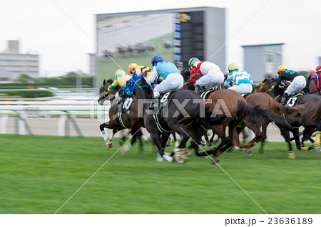 競馬 23636189