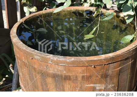 Wooden barrel filled with water 23636208