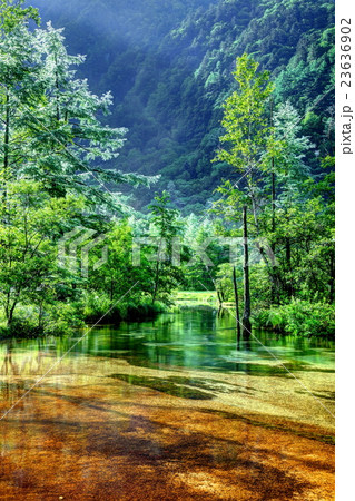 輝く田代池の朝 輝く田代池の朝 23636902