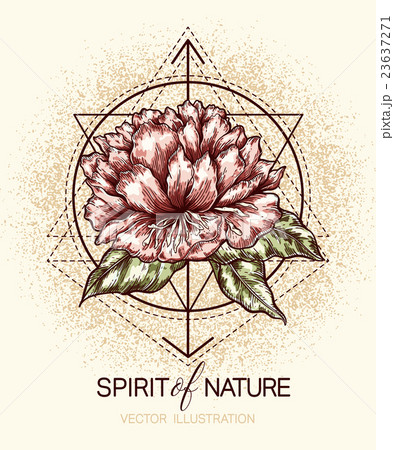 Graphic floral poster 23637271