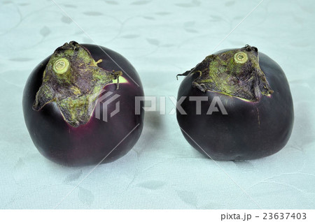 京の伝統野菜・賀茂なす 京の伝統野菜・賀茂なす 23637403