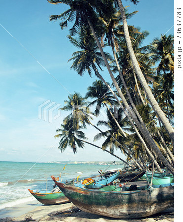 lot of fishermens boats at seacoast sunrise 23637783